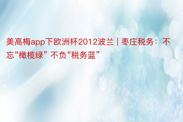 美高梅app下欧洲杯2012波兰 | 枣庄税务：不忘“橄榄绿” 不负“税务蓝”
